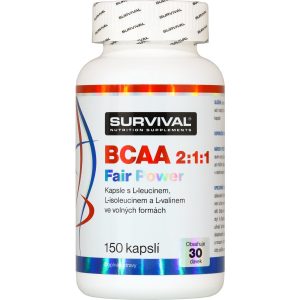 survival bcaa 2.1.1