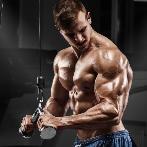 Men_Bodybuilding_Muscle_Hands_Workout_582601_1920x1200